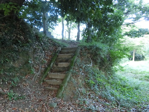 CIMG4711