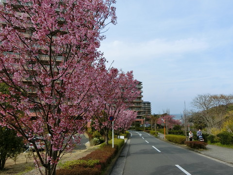 CIMG2975