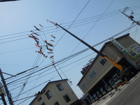 DSCN0523