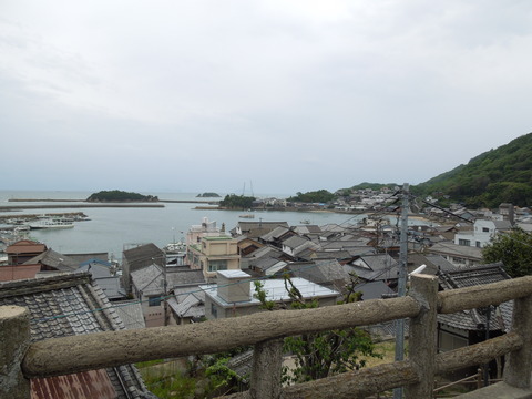 DSCN0496