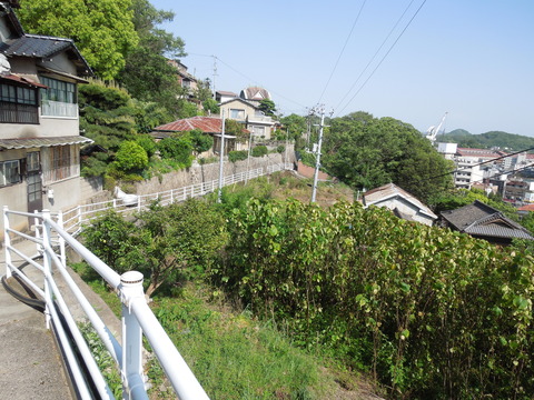DSCN0601
