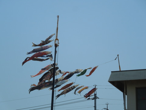 DSCN0522