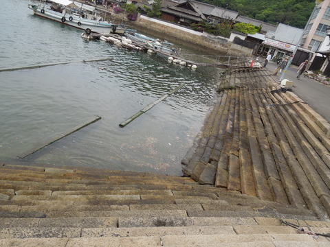 DSCN0429