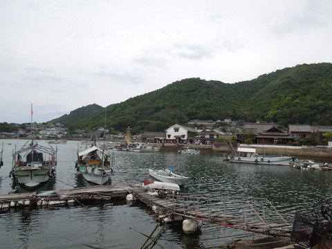DSCN0428