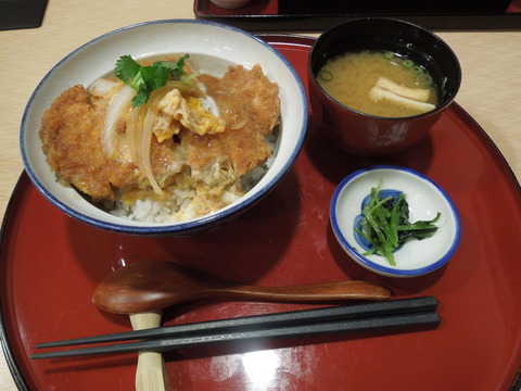 DSCN0504