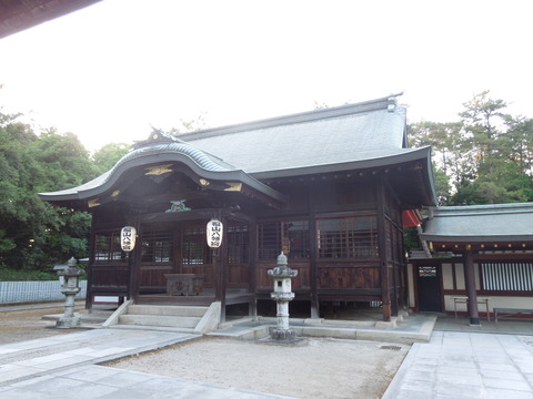 DSCN0643