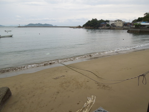 DSCN0441