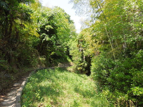 DSCN0557