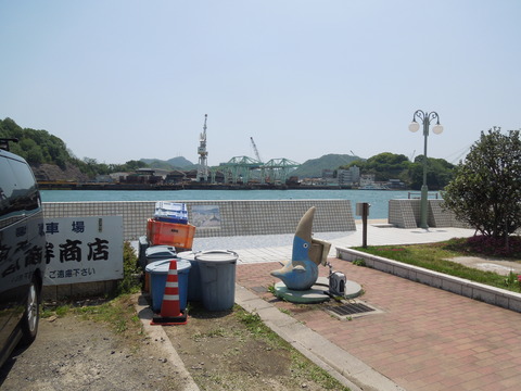 DSCN0531