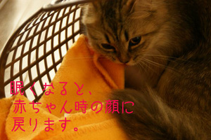 menui
