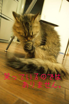けづくろい
