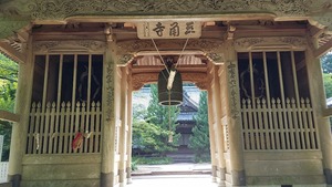 ea9508b8.jpg