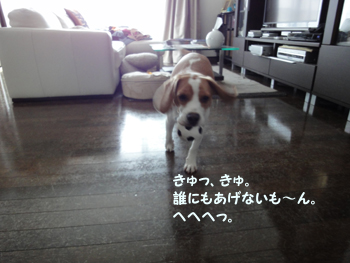 14324a88.jpg