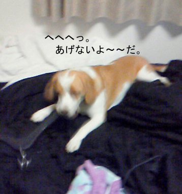 45703f4c.jpg