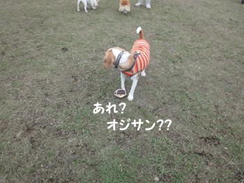 75269975.jpg