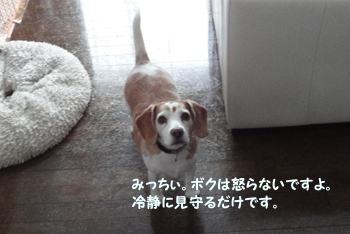 915d9b9f.jpg