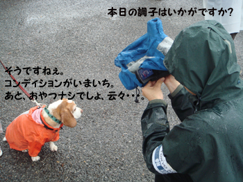 9fe65a75.jpg