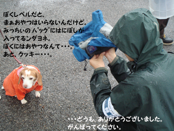aa93a6f4.jpg