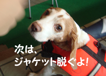 d845891f.jpg