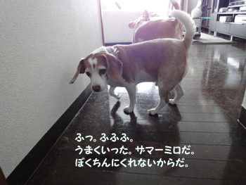 dd705801.jpg