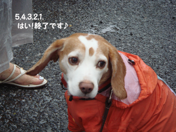 e64f59a9.jpg