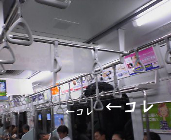 f8090049.jpg