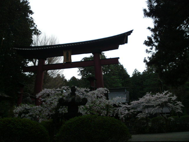 SN3J0116