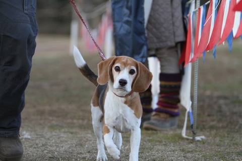 20110108ryo