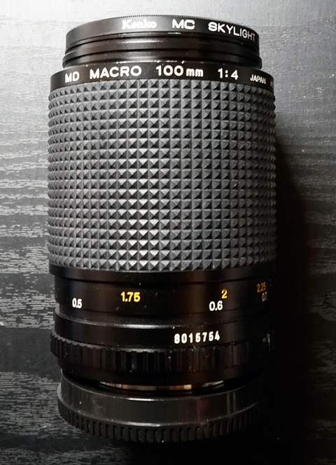 1df71c86-s.jpg