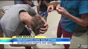 minnesota_wolf_attack_ABCNews11