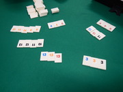 DSCN0845