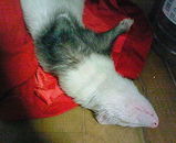 e2537f86.jpg