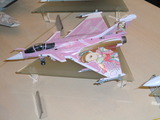 CIMG0221