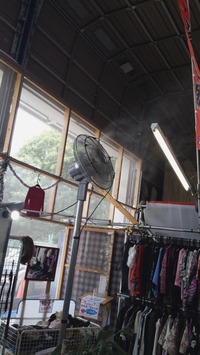 2014ミスト