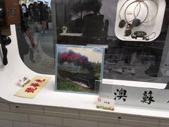 IMG_0582