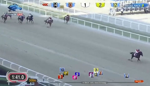 【コリアカップ】ロンドンタウンが15馬身差の圧勝!連覇達成www