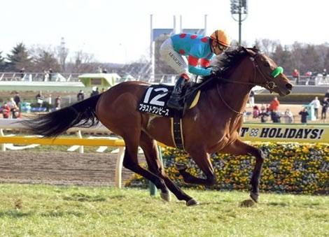 【日本ダービー】ブラストワンピースの不安材料が見当たらない件