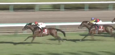 セントライト記念(2018)データ分析!前走●●で3着以下だった馬は連対なし。