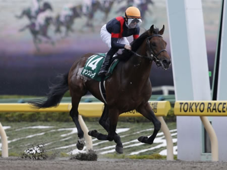 第23回 ユニコーンステークス(G3)「大反省会」