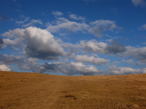 DSCF1181