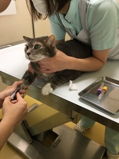 むい2