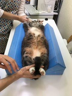 むい④