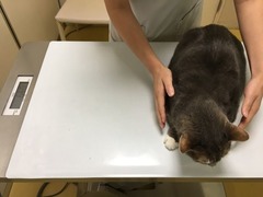 むい8