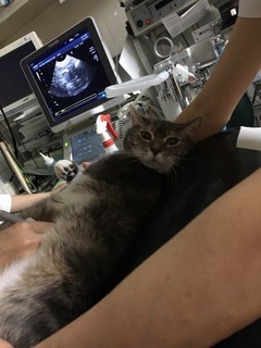 むい⑦