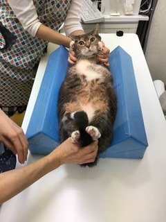 むい⑤