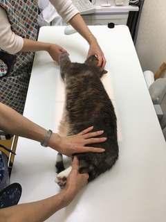 むい③