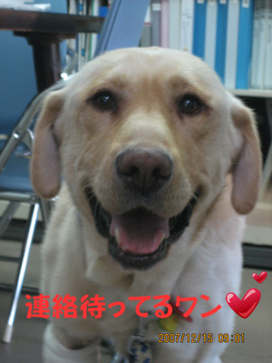 BlogPaint
