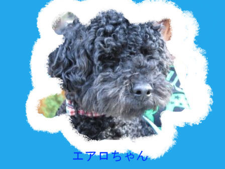 BlogPaint