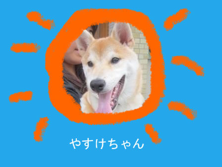 BlogPaint