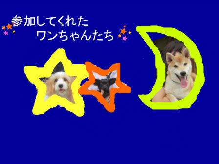 BlogPaint